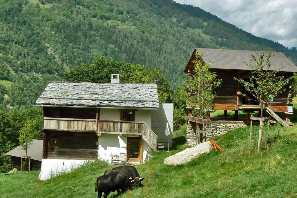 Appartement "Le Ver Luisant" A Saint-Martin, Val D'Herens, Valais Екстер'єр фото