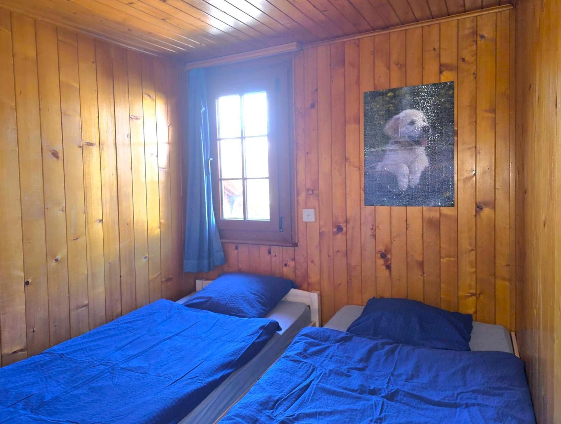 Appartement "Le Ver Luisant" A Saint-Martin, Val D'Herens, Valais Екстер'єр фото